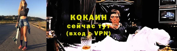 тгк Лиски