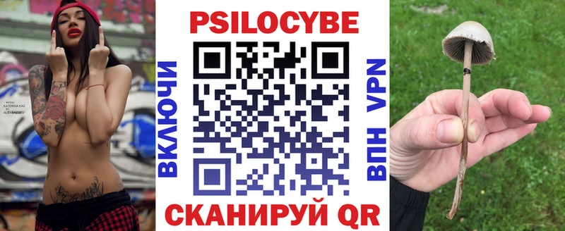Галлюциногенные грибы Psilocybine cubensis  Купить где  Калининск 